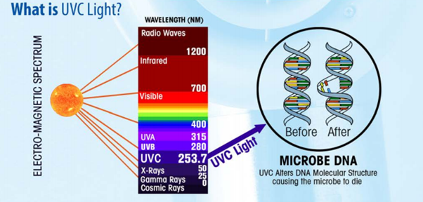 uv-light