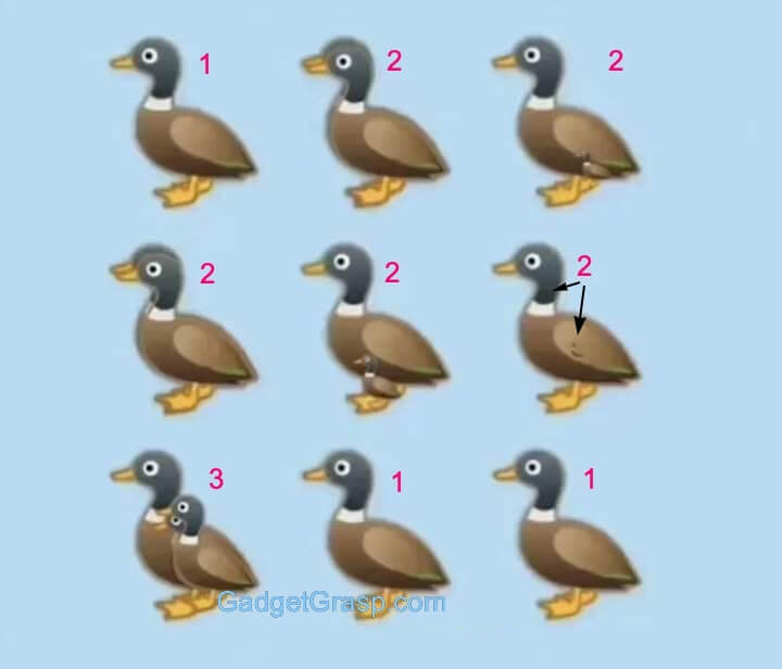 how-many-ducks-in-the-picture-answer-1
