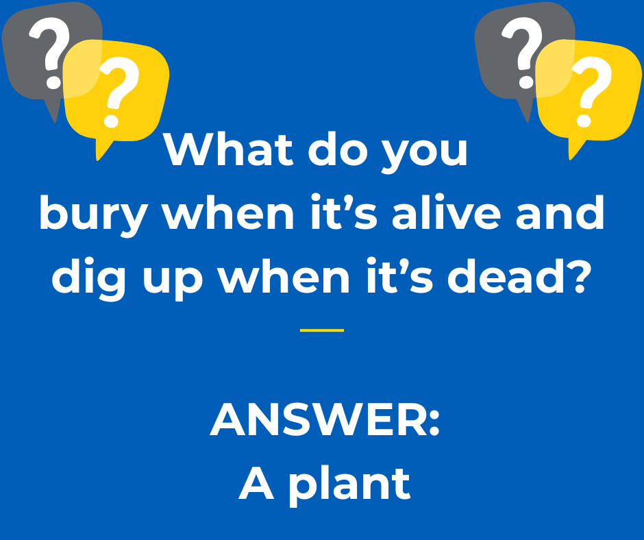 riddle-july-25-answer